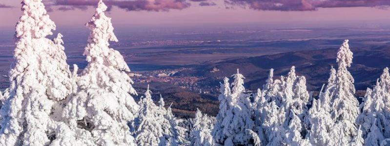 Bergsuite No.27 Braunlage Luaran gambar